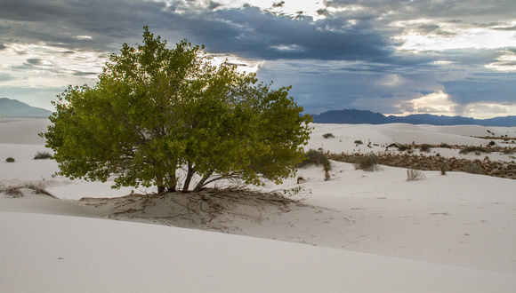White Sand Dunes National Monument 3, New Mexico