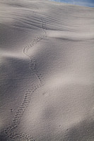 White Sand Dunes National Monument 5, New Mexio